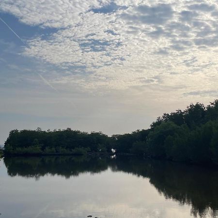 Mangrove Inn كاريمونجاوا المظهر الخارجي الصورة