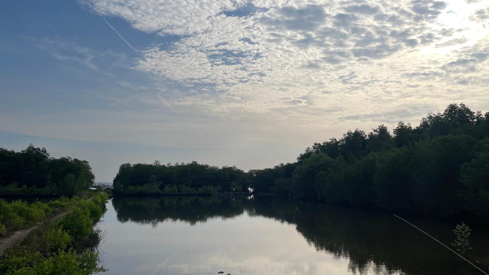 Mangrove Inn كاريمونجاوا المظهر الخارجي الصورة