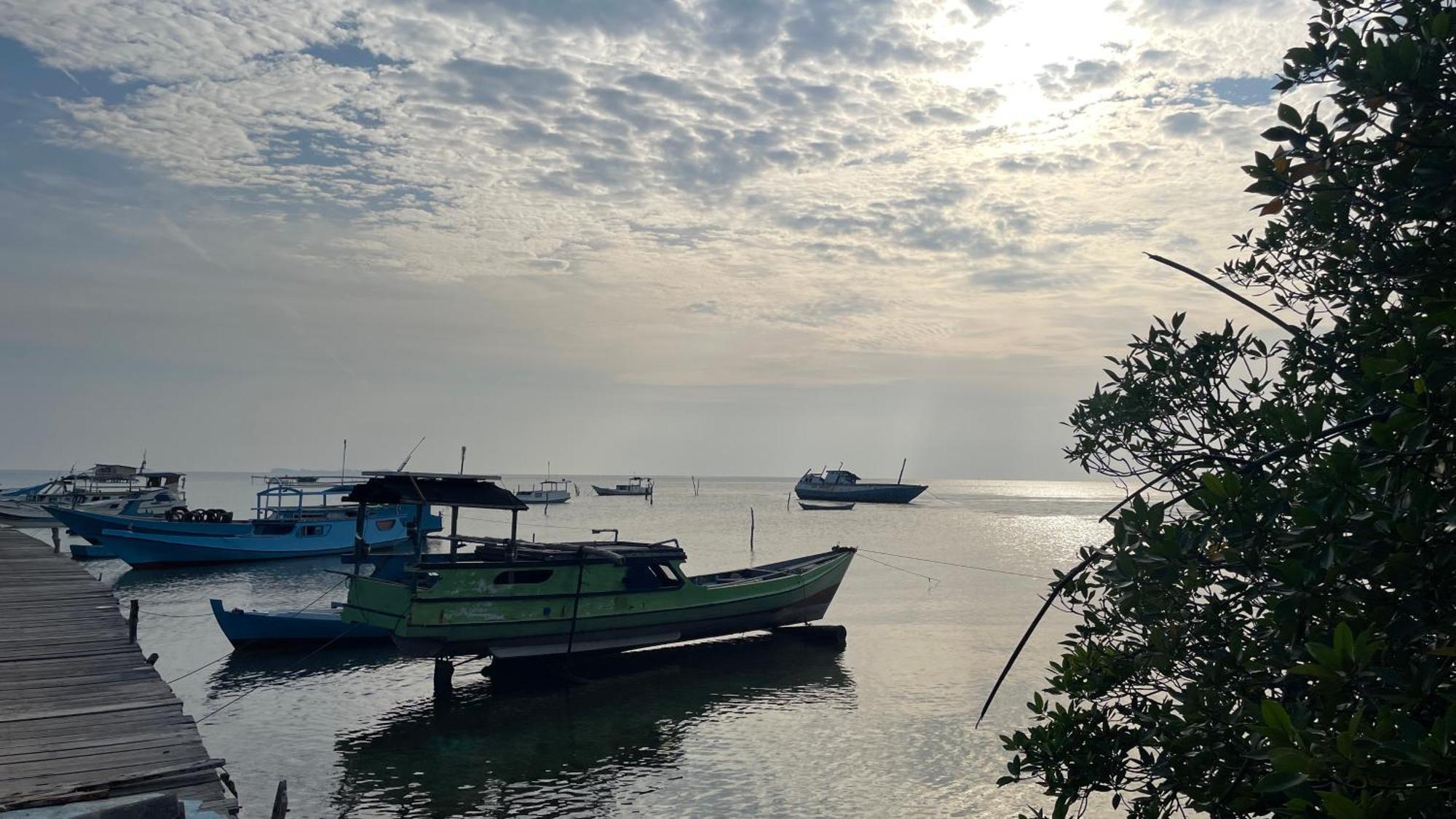Mangrove Inn كاريمونجاوا المظهر الخارجي الصورة