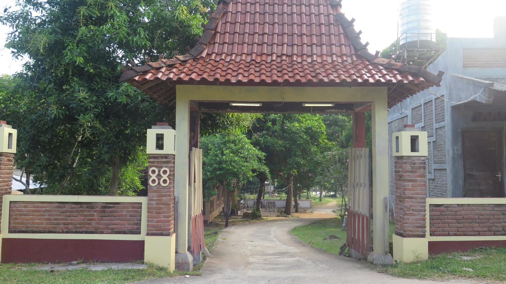 Mangrove Inn كاريمونجاوا المظهر الخارجي الصورة