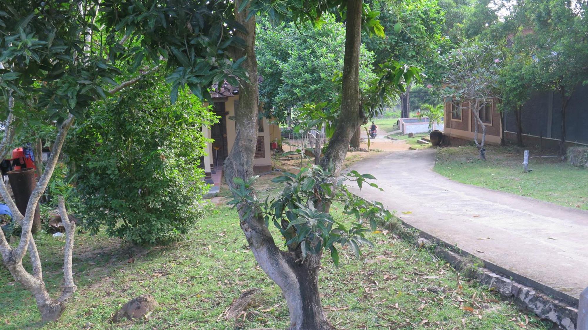 Mangrove Inn كاريمونجاوا المظهر الخارجي الصورة