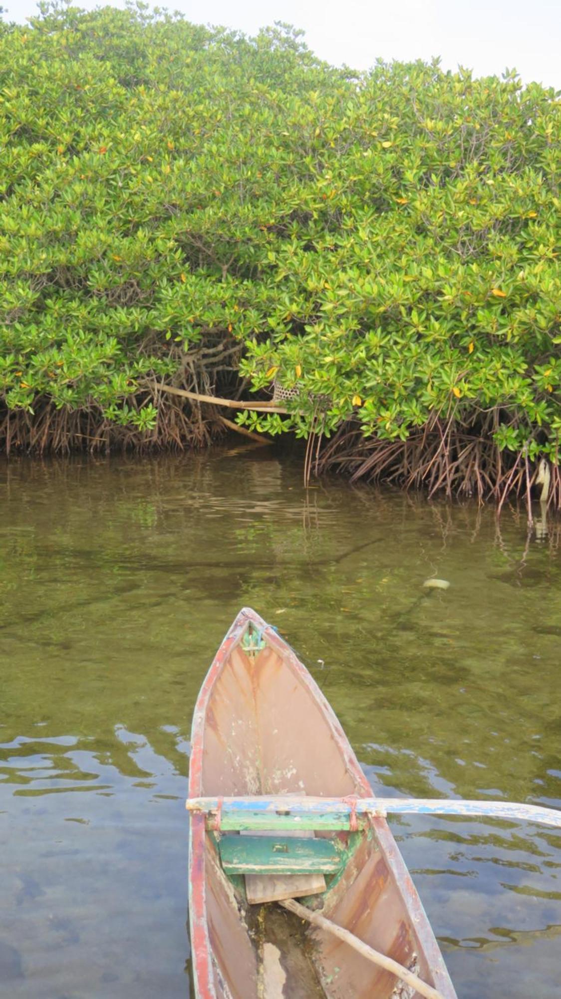 Mangrove Inn كاريمونجاوا المظهر الخارجي الصورة