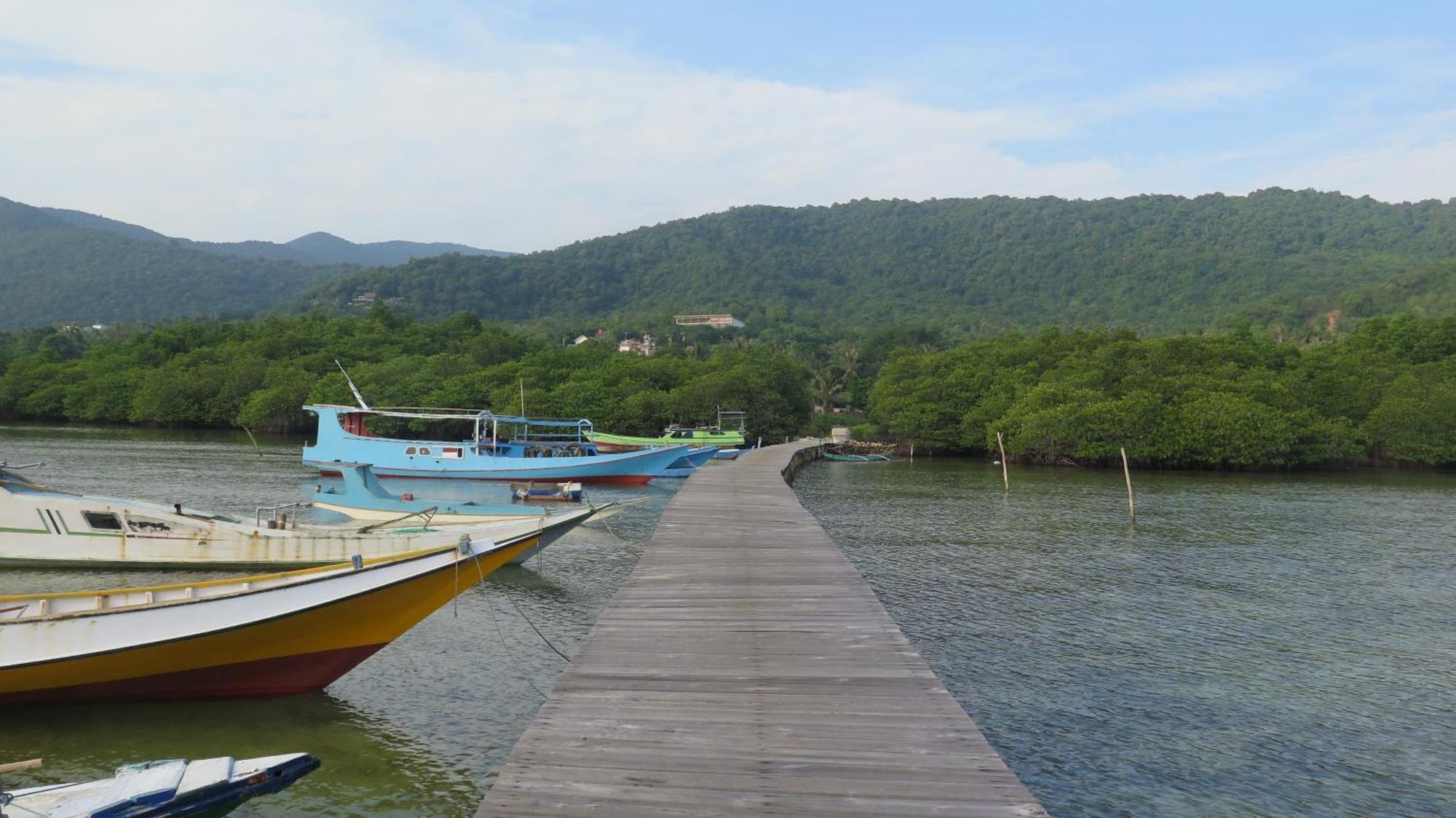 Mangrove Inn كاريمونجاوا المظهر الخارجي الصورة