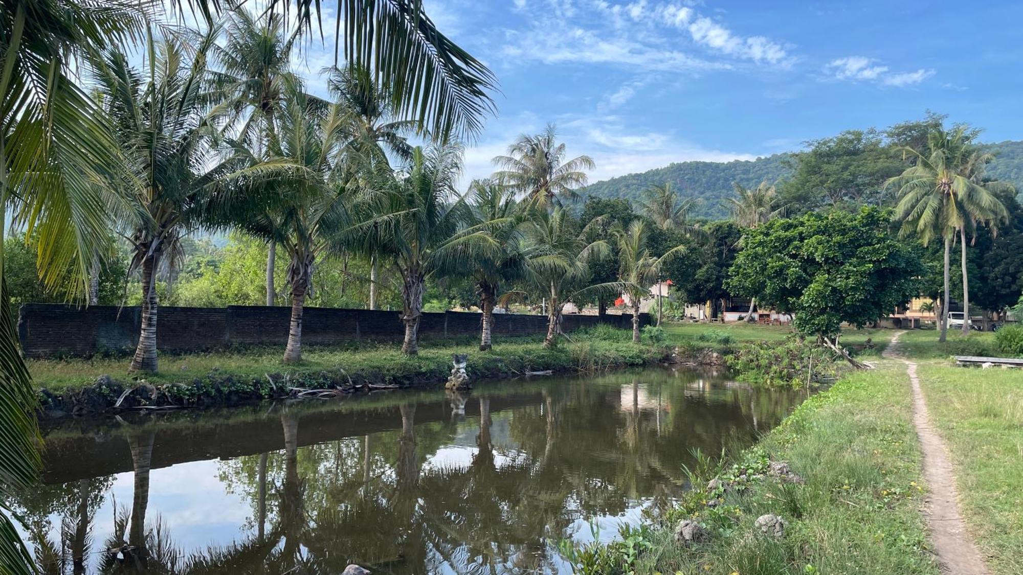 Mangrove Inn كاريمونجاوا المظهر الخارجي الصورة