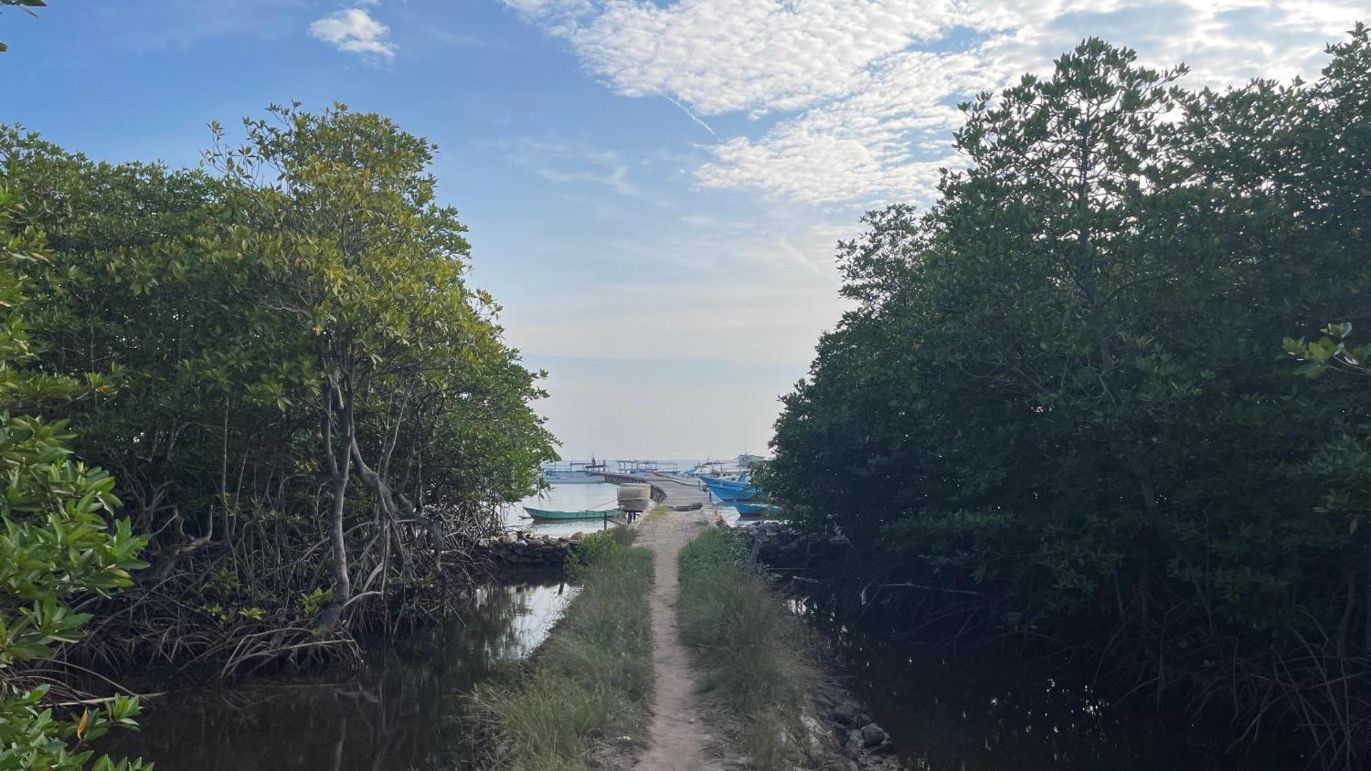 Mangrove Inn كاريمونجاوا المظهر الخارجي الصورة