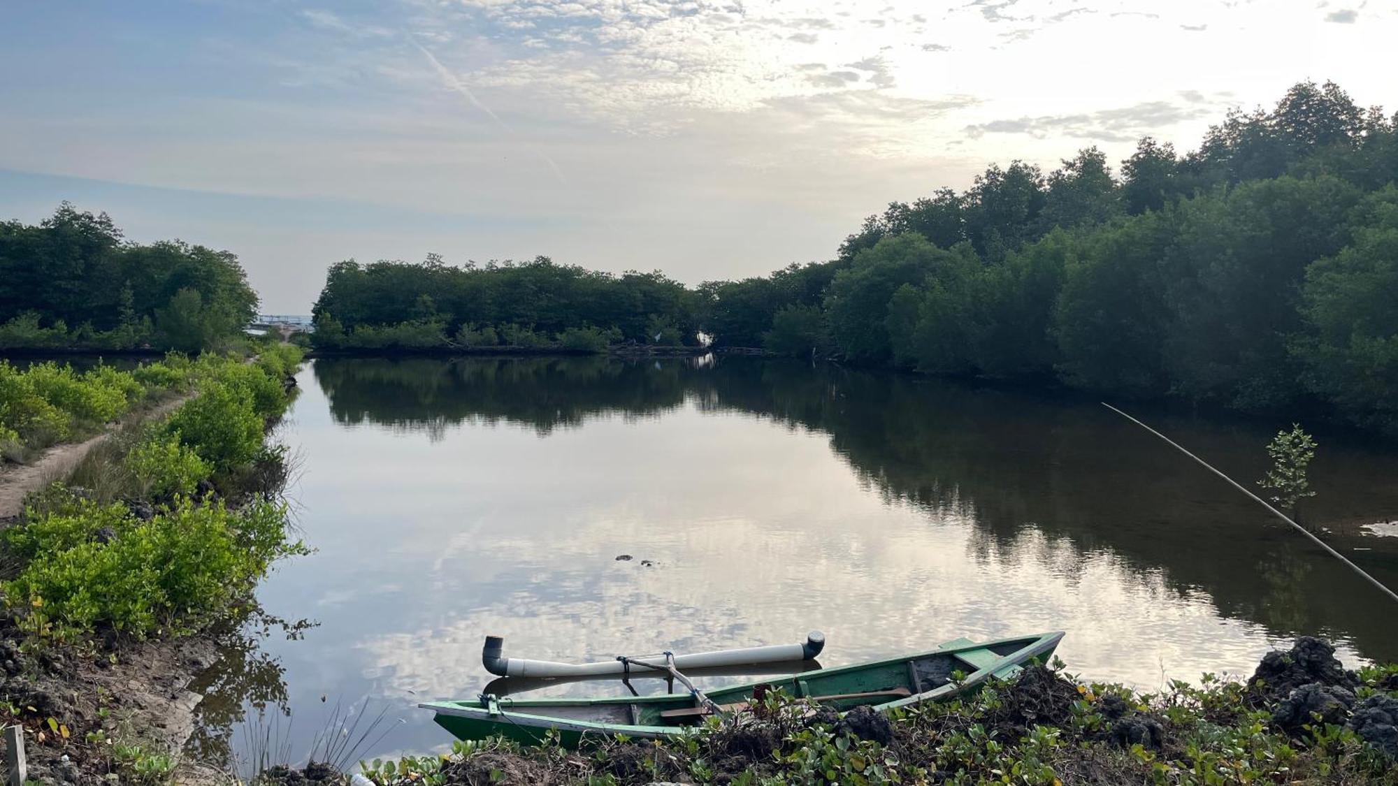 Mangrove Inn كاريمونجاوا المظهر الخارجي الصورة