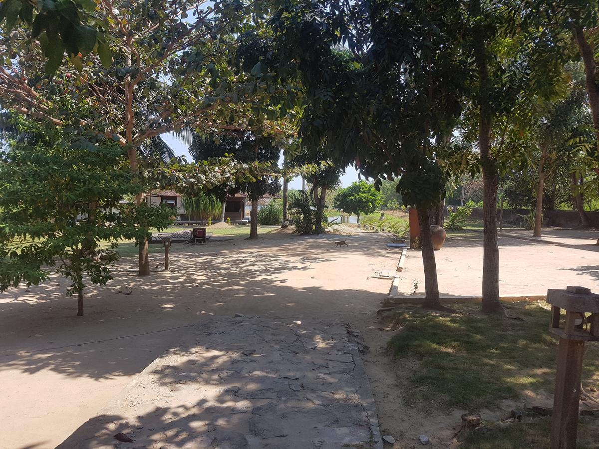 Mangrove Inn كاريمونجاوا المظهر الخارجي الصورة