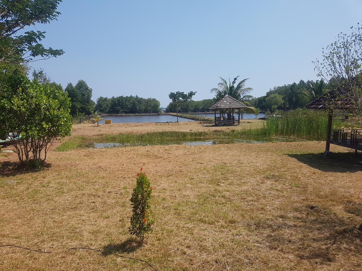 Mangrove Inn كاريمونجاوا المظهر الخارجي الصورة