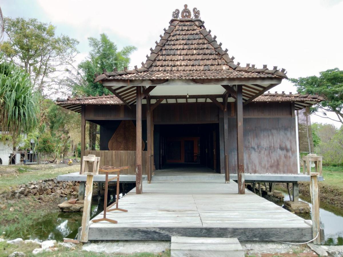 Mangrove Inn كاريمونجاوا المظهر الخارجي الصورة